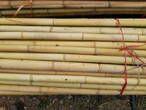 Nature Dry Straight <b>Rattan</b> Bamboo Pole Polished <b>Rattan</b> Manau Cane Poles Weave Cane Webbing Premium Quality - Product Image 4