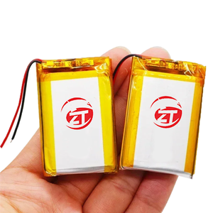 Высокопроизводительные литий-полимерные аккумуляторные батареи 3,7 В 700 - 1000 мАч для умного дома и портативной электроники - Product Image 1