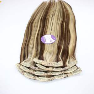 Clip d'extension de cheveux humains vierges vietnamiens de haute qualité alignés sur les cuticules 100 g/set prix usine - Product Image 4