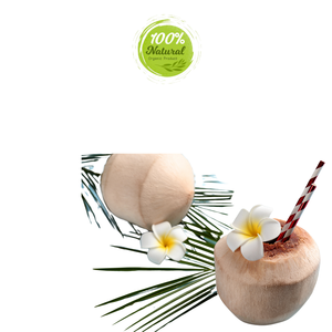 มะพร้าวสดที่มีรสชาติของเวียดนามผลิตภัณฑ์ทางการเกษตร - Product Image 6