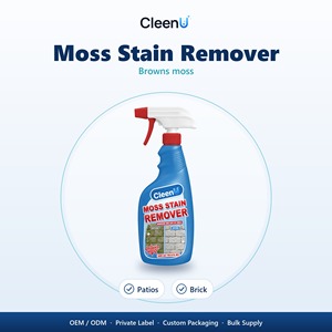 Spray Rimuovi Muschio 500ml per Patio in Cemento, Pavimentazioni, Mattoni, Muri in Pietra, Gradini, Recinzioni, Senza Cloro, OEM, Ingrosso - Product Image 1