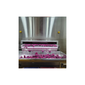 Dados de fruta de dragón congelados de alta calidad procesados IQF de Vietnam ideales para exportación y venta al por mayor - Product Image 2