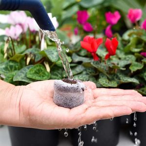 Coir Jiffy Coir peat ย่อยสลายได้ทางชีวภาพสำหรับ staring Plants Jiffy 36 mm peat เม็ดพีทชุดเริ่มต้น (36แพ็ค) - Product Image 3