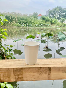 แก้วกระดาษเคลือบ PE ชั้นเดียว ย่อยสลายได้ เกรดอาหาร สำหรับเครื่องดื่มร้อน/เย็น กาแฟ ยี่ห้อ GREEN NEST รับพิมพ์โลโก้ตามสั่ง - Product Image 3