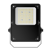 Projecteur LED étanche IP66 30W, montage mural, éclairage de tunnel, stade, terrain de tennis