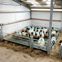Bâtiment commercial pour élevage de moutons et chèvres, en acier léger préfabriqué, soudé, découpé et plié, qualité supérieure, Marque Makamane, Modèle 002