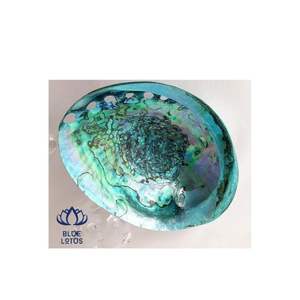 Haute qualité ormeau coquillage décoration artisanat sculpté fleur religieux ange attrape-rêves pour la décoration intérieure - Product Image 6