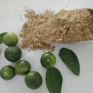 Poudre de fruit de calamansi biologique savoureuse pour boisson Sophie - Product Image 5