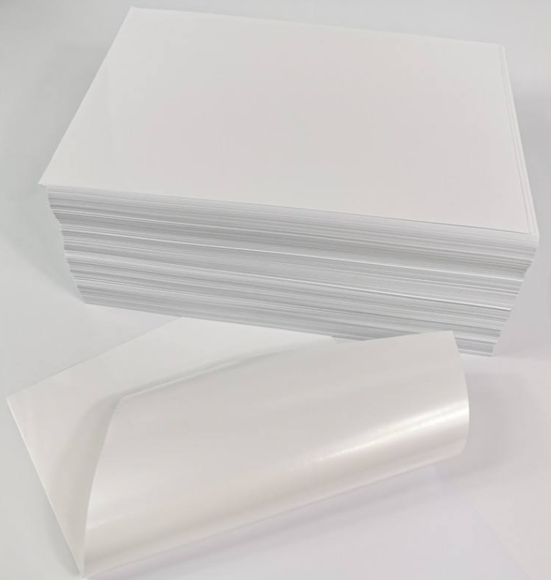 pp Label Adhesive Thermal Paper Customizable Self-adhesive PP/BOPP Label
