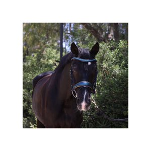 Rhagal-deflector de cuero metalizado, cerdas de Doma con relleno metálico, color marrón claro, fabricante de fajas - Product Image 1