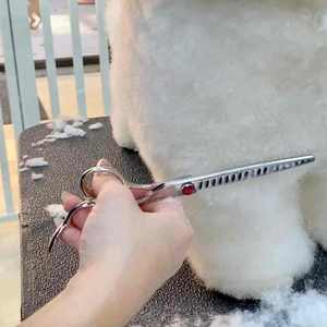 Ciseaux à mâchoires droits en acier inoxydable personnalisables écologiques de qualité supérieure ciseaux de toilettage professionnels pour animaux de compagnie pour chiens - Product Image 6