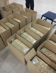 เม็ดมะม่วงหิมพานต์จากเวียดนาม W240 W320 - Product Image 6