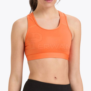 Soutien-gorge de sport féminin respirant soutien-gorge de sport de yoga pour femmes sans couture femmes vêtements de sport soutien-gorge de sport à vendre - Product Image 2