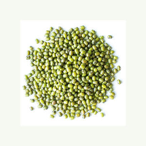 Vente en gros directe du meilleur fournisseur Haricots mungo verts biologiques de haute qualité style Vigna Sacs en vrac de 25kg Prix - Product Image 3