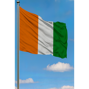 Drapeau extérieur personnalisé Côte d'Ivoire 3x5 pieds en nylon soyeux imprimé numériquement avec mât en aluminium, logo personnalisé pour l'industrie automobile et l'assurance - Product Image 3