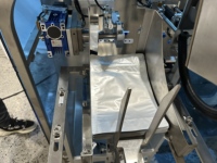 Automatische sinaasappelsap dranken vloeibare voorgemengde zakjes rotatie verpakkingsmachines lijnsystemen China machinesfabriek