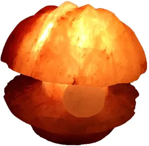 Lampes en sel de l'Himalaya en forme de coquille artisanales SUAZ avec accessoires, lampes en sel sculptées écologiques, best-sellers de la décoration intérieure - Product Image 2