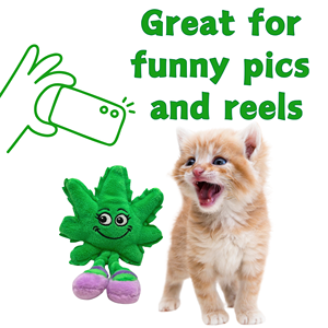 Lil' Mary Jane, adorable peluche parodique en forme de feuille de cannabis avec herbe à chat, jouet pour chat et peluche décorative pour étagère, 6 pouces - Product Image 4