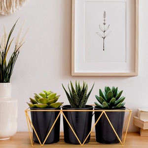 Jardinières en métal fabriquées à la main exclusives de haute qualité disponibles: Élevez votre espace avec des designs tendance - Product Image 2