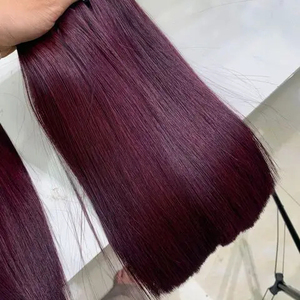 Super Borgoña 99J tendencia caliente Remy extensión del pelo hueso recto virgen cabello humano doble dibujado tejido sedoso de Vietnam - Product Image 6