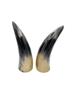 Decoración Náutica Decorativa de Tamaño Mediano en Blanco y Negro Pulido, Decoración para el Hogar de Forma Natural, Cuerno de Buey, Búfalo, 20 30 cm - Product Image 3