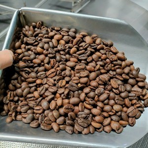 Granos de Café Tostados 100% Arábica, Tueste Claro, Paquete a Granel de 20 kg, Calidad de Exportación, Marca Privada OEM - Product Image 4
