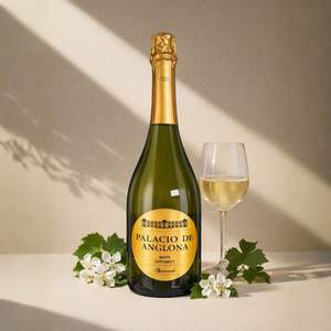 Vin mousseux blanc semi-doux Palacio de Anglona Airen & Tempranillo 9,5% ABV Vin mousseux espagnol 750ml - Product Image 3