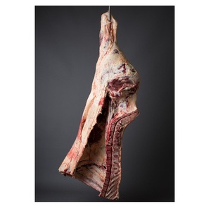 Viande de bœuf halal désossée (quartier arrière) / Bœuf congelé / Viande de vache - Product Image 4