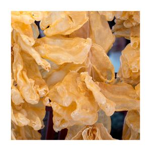 อาหารทะเลใหม่-ปลากระเพาะปลาผู้ส่งออกที่ดีที่สุดจากเวียดนาม - Product Image 1