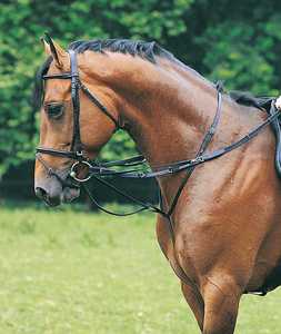 Fabricant de bride en cuir pour cheval Fabricant de bride en cuir véritable pour cheval Fabricant de bride en cuir véritable pour cheval en cuir indien - Product Image 5