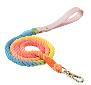 Correa para Perro Hecha a Mano con Cuerda de Algodón Arcoíris y Cuero, Elegante Juego de Correa Trenzada para Mascotas, Cuerda Resistente para Pasear Perros - Product Image 1