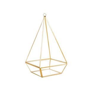 Cadre en métal de fer d'excellente qualité avec décoration de plantes de maison de terrarium fini noir de forme unique en verre - Product Image 3