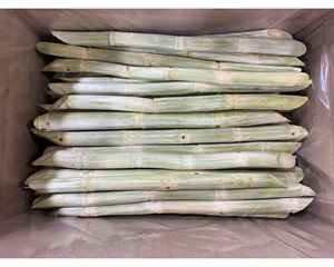 Caña de azúcar congelada en forma de palo para hacer jugo de caña de azúcar congelada de Vietnam empacada para la industria de bebidas - Product Image 6