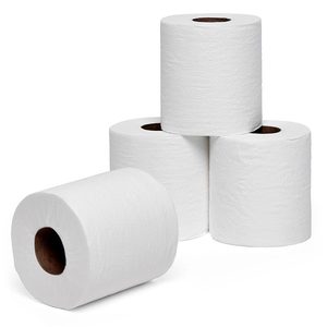Soft and Strong 2-Ply 500 Sheet Toilet Tissue Roll Flushable and Washable for Home Use - Product Image 1
