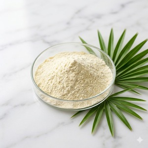 Estratto di Saw Palmetto in Polvere 25% 45% Acidi Grassi Serenoa Repens per la Salute della Prostata e la Crescita dei Capelli - Product Image 2