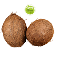 Meilleure noix de coco séchée du Vietnam à chair épaisse, 100% naturelle, complément parfait pour les compotes de fruits tropicaux