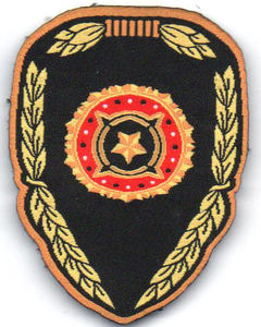 Parche Bordado Computarizado para Ropa, Insignia de Hombro con Bordado Completo, Parche de Ropa Bordado3 - Product Image 4