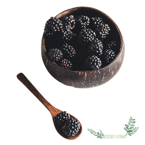 Pequeños tazones de coco natural y juegos de cucharas Venta al por mayor Tazón de cáscara de coco Tazón de coco de Vietnam - Product Image 3