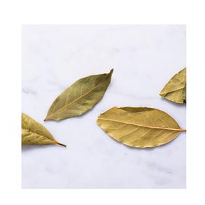 Asequible hoja de laurel en venta fresca y aromática disponible en pedidos al por mayor listo para la entrega en todo el mundo - Product Image 3