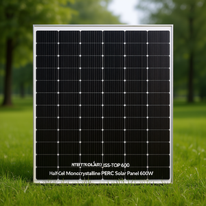 แผงโซลาร์เซลล์แบบโมโนคริสตัลไลน์ PERC ครึ่งเซลล์ Inter Solar ISS-TOP 600 กำลังไฟ 600 วัตต์ - Product Image 3
