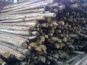 Solid <b>Wood</b> Is Popular in Vietnam - Product Image 2