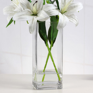 VBV0308 - Florero Cuadrado de Vidrio - 3 x 8 - Product Image 5