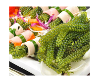 Uvas de Mar Deshidratadas Hechas en Vietnam, Algas Marinas del Fabricante, Productos 100% Naturales al por Mayor, Buen Precio
