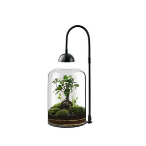 Terrarium en verre pour plantes avec ventilation LED, grand terrarium pour plantes avec ventilation pour plantes succulentes, 8,7 pouces de haut, décoration d'intérieur - Product Image 1