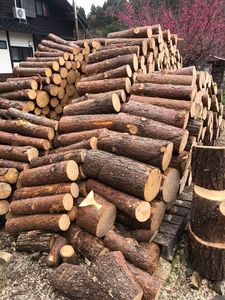 Best Selling Kiln Dried Pine Firewood <b>Logs</b> Square Shape Ready Now Belgium. - Product Image 6