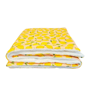 Soft Plush Dog Blanket Double Layer Warm Cozy Pet Throw Lightweight Washable Bedding Mat <b>for</b> Dogs <b>Cats</b> All Seasons - Product Image 2