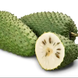 MEILLEUR PRODUIT SOURSOP PUREE // SOURSOP de NATUREL // HAUTE QUALITÉ au VIETNAM - Product Image 1