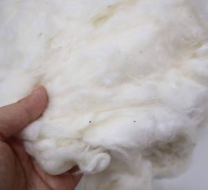 Fibra algodón natural - Product Image 1