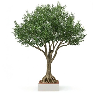 Olivo Artificial Grande al por Mayor | Follaje Verde Personalizado <span class=keywords><strong>de</strong></span> 9 <span class=keywords><strong>a</strong></span> 15 Pies con Tronco <span class=keywords><strong>de</strong></span> Madera Realista para Decoración <span class=keywords><strong>de</strong></span> Centros Comerciales, Bodas y Oficinas - Product Image 1