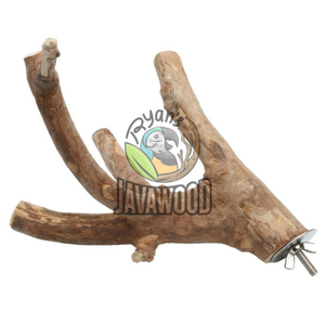 Perchoirs à oiseaux en bois massif durable et résistant Taille L pour les oiseaux de compagnie avec un design moderne parfait d'Indonésie - Product Image 3